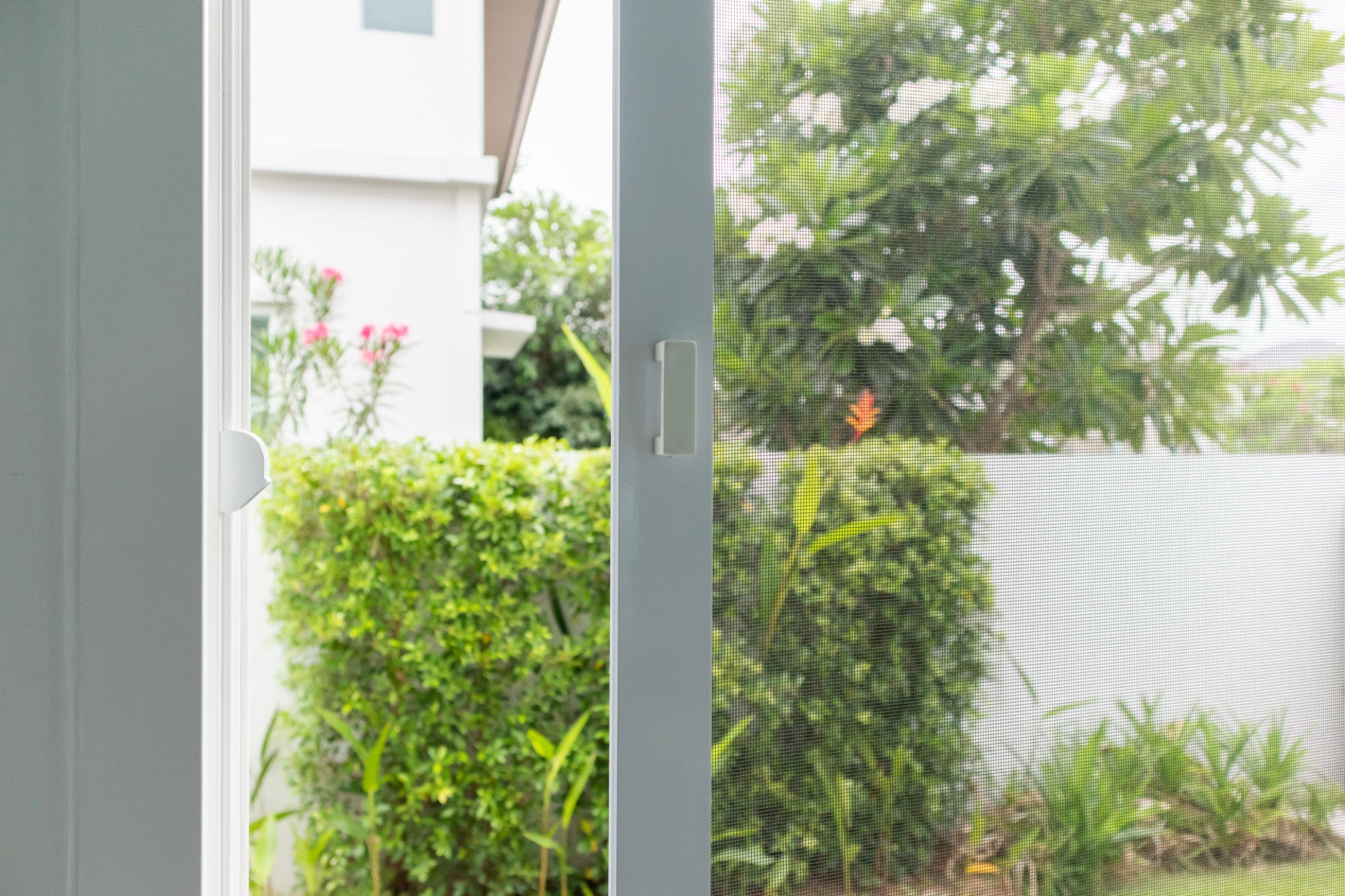 28 5 - Zoompey Insect Screen