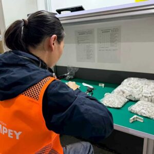 4 - Zoompey Insect Screen